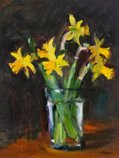 First Daffodils